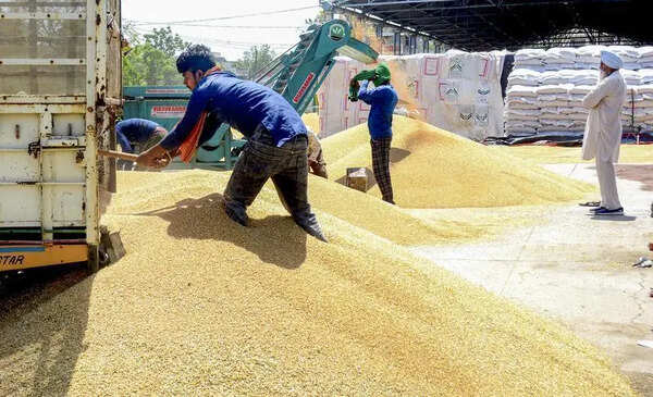 Punjab wheat procurement at 97% as arrivals touch 88% of target