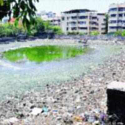 Makhmali Lake cleaning to be done by June 3