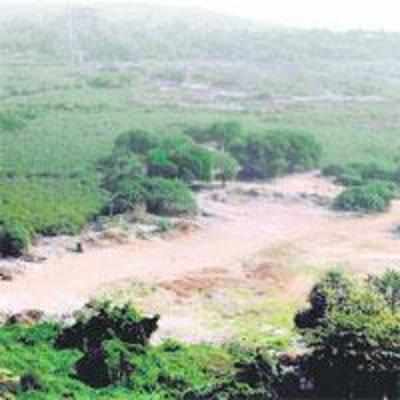 Land mafia moved to grasp mangrove stretch on 26/11