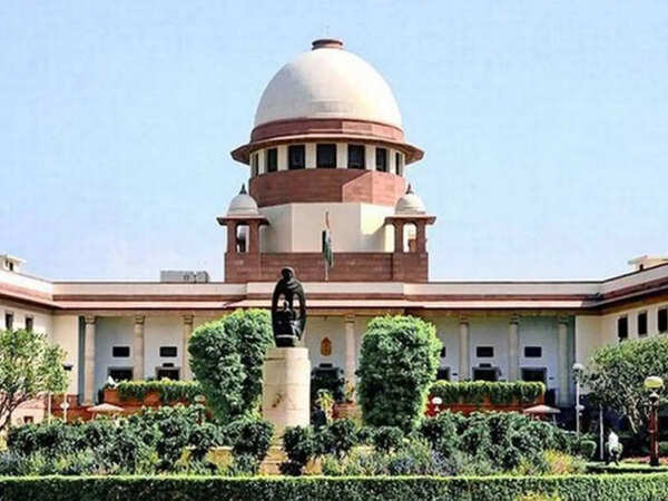 Lok Sabha clears bill to increase number of Supreme Court judges, without debate