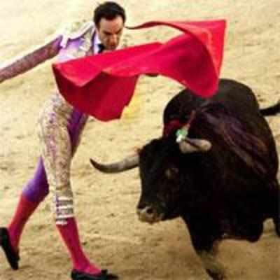 Spain's Catalonia says adios to bullfighting