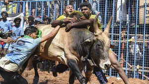 This week in 20 images