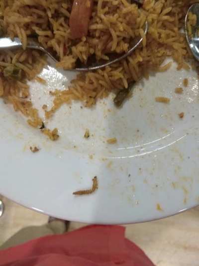 IKEA withdraws veg biryani, samosas from Hyderabad store after 'worm' controversy