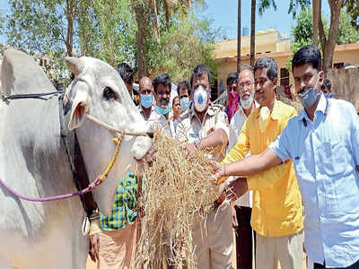 Bengaluru cop helps starving cattle near Electronics-City