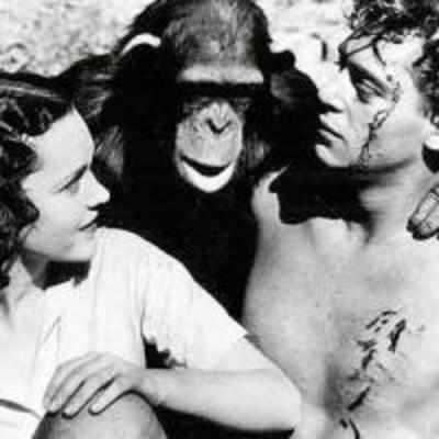 Tarzan's chimp star '˜Cheeta' dies at 80