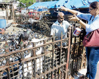 BJP demands panel to study pigeons in city