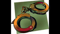 Duo involved in burglaries at Mapusa nabbed at Raigad