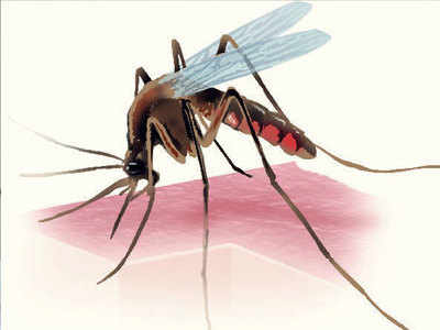 New vaccine to fight malaria