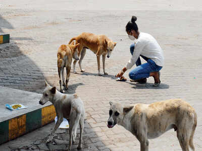 Rajajinagar residents attack twin sisters, mother for feeding stray dogs