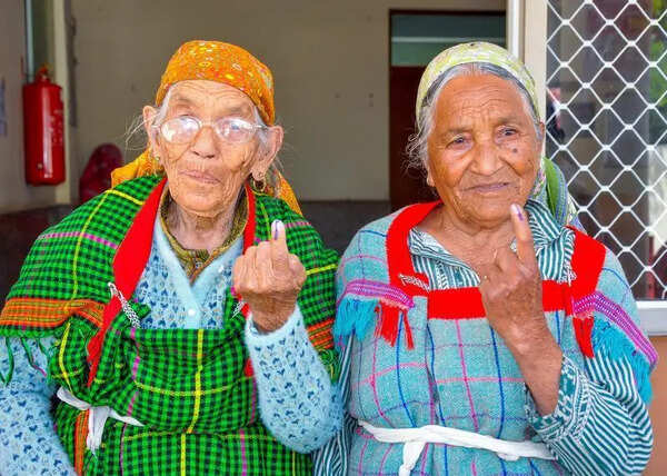 78.8% turnout in first phase of HP panchayat polls