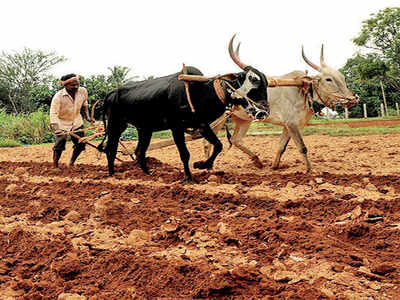 Karnataka looks to woo investments for farms and industries