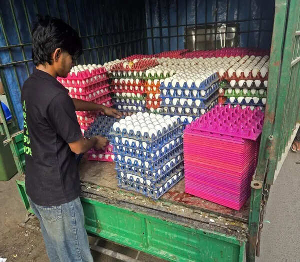 Egg supply to Surat halted after bird flu outbreak