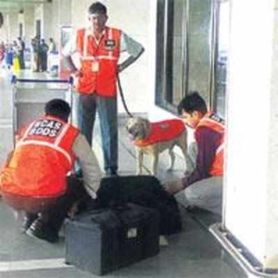 Unattended bag causes bomb scare at airport