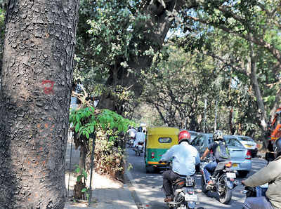 BBMP comes to its census