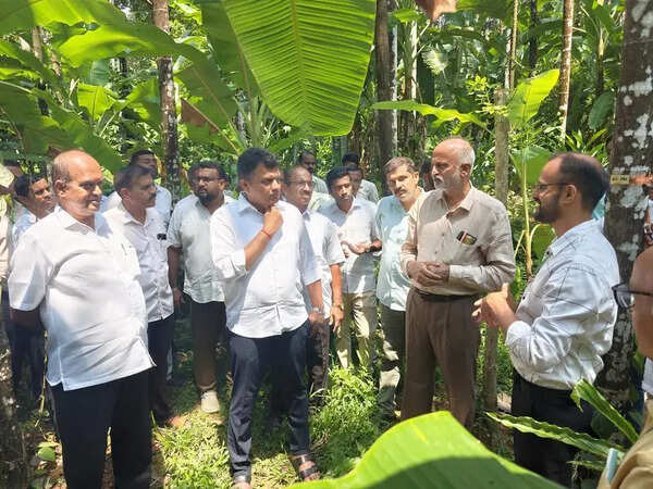 Automatic weather station set up to detect spread of leaf spot disease
