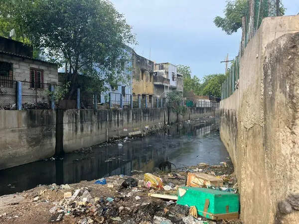 Untreated sewage flows into Kodungaiyur canals non-stop