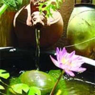 Water garden in a tub