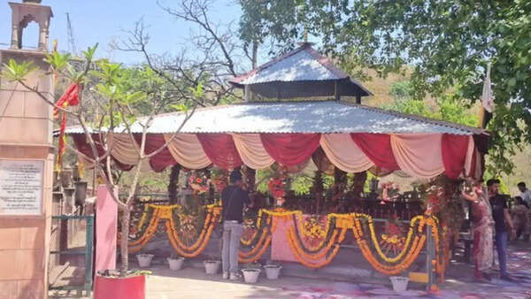 Uttarakhand minister son's wedding at temple in Rajaji Tiger Reserve core area sparks row