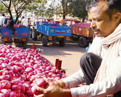 Onion hits two-year high of rs 4,900 per quintal