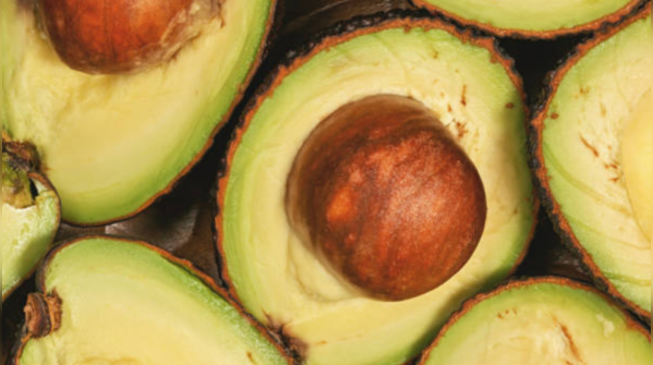 Avocado pits are rich in phytochemicals