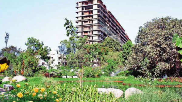 Hariyali along raasta: Soon, 24 forests, gardens in Ahmedabad!