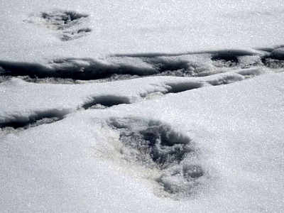 Army claims footprints of Yeti found, and Twitter can’t keep calm