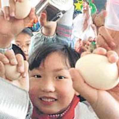 '˜Pet' eggs teach Chinese children to play carefully