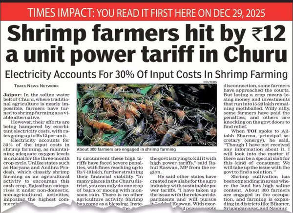 Raj Budget signals power tariff cut for shrimp farmers with a new slab