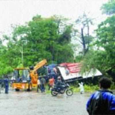 Rains uproot 53 trees in Thane