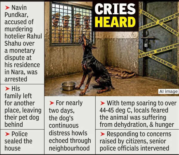 Crime scene sealed, but not hearts:Cops rescue murder accused’s dog