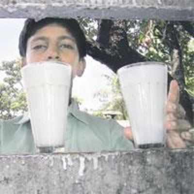 Raids improve purity of milk