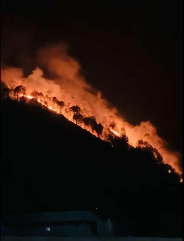 Uttarakhand receives 260 fire alerts in a day; doctors urge caution