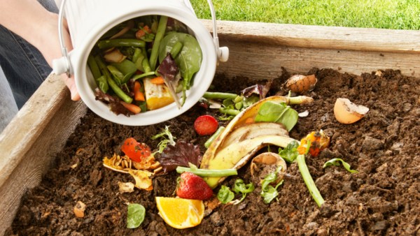 Compost that are rich in nutrients for flourishing plants and better soil