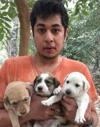 Delhi youth runs drive to save strays during pandemic
