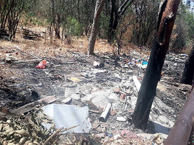 Garbage is being burnt at Kasturi Nagar forest