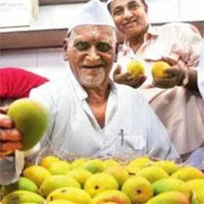 Mangoes here, but out of aam janta's reach