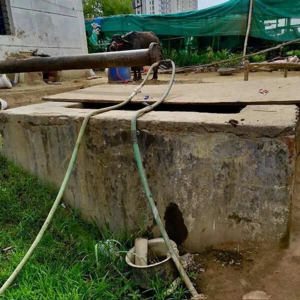Illegal nurseries straining water resource, residents write to Noida