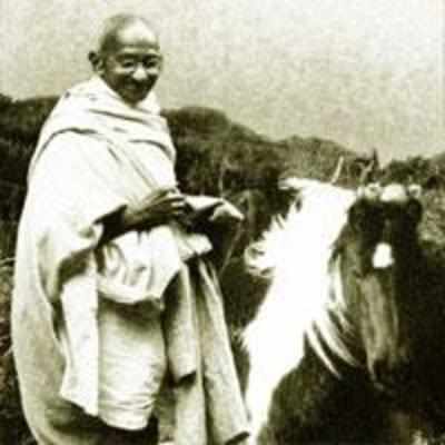 Mahatma's Myriad Roles