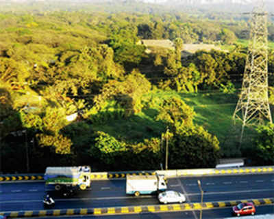 New alignment, elevated stretch to save 400 trees