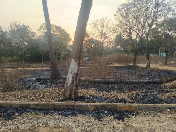 Toxic trail on Bengaluru’s edge as resident allege late-night waste burning