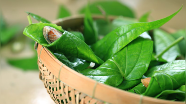Betel, aka paan leaves for red lips.