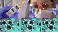 WHO in talks with India about joining the 'Covax' global vaccine allocation plan 