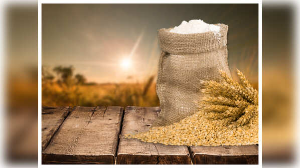 Barley vs wheat: Differences & which one should you have?