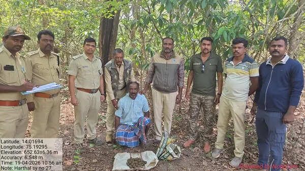 Forest officials seize 45 crude explosives, arrest poacher in Shivamogga