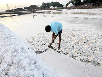 Govt to explore affordable housing on salt pans