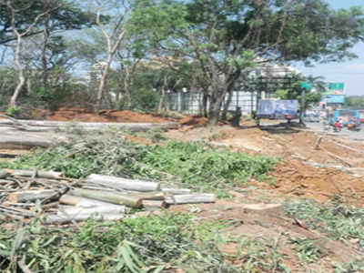 Tree felling: 2,000 citizens file objections with K-RIDE