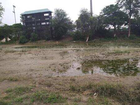 Water at Tau Devi Lal stadium sparks dengue fears