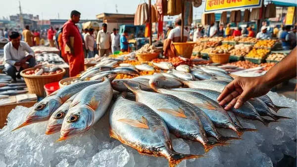Kolkata: Over 300 tonnes of local hilsa set to hit markets ahead of Durga Puja