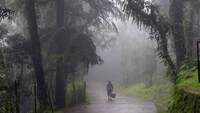 August set to be one of the wettest in decades 