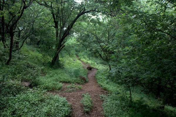 No construction of Pune’s Balbharati-Paud Phata Road till Supreme Court’s decision on inspection report: Apex Court panel to state